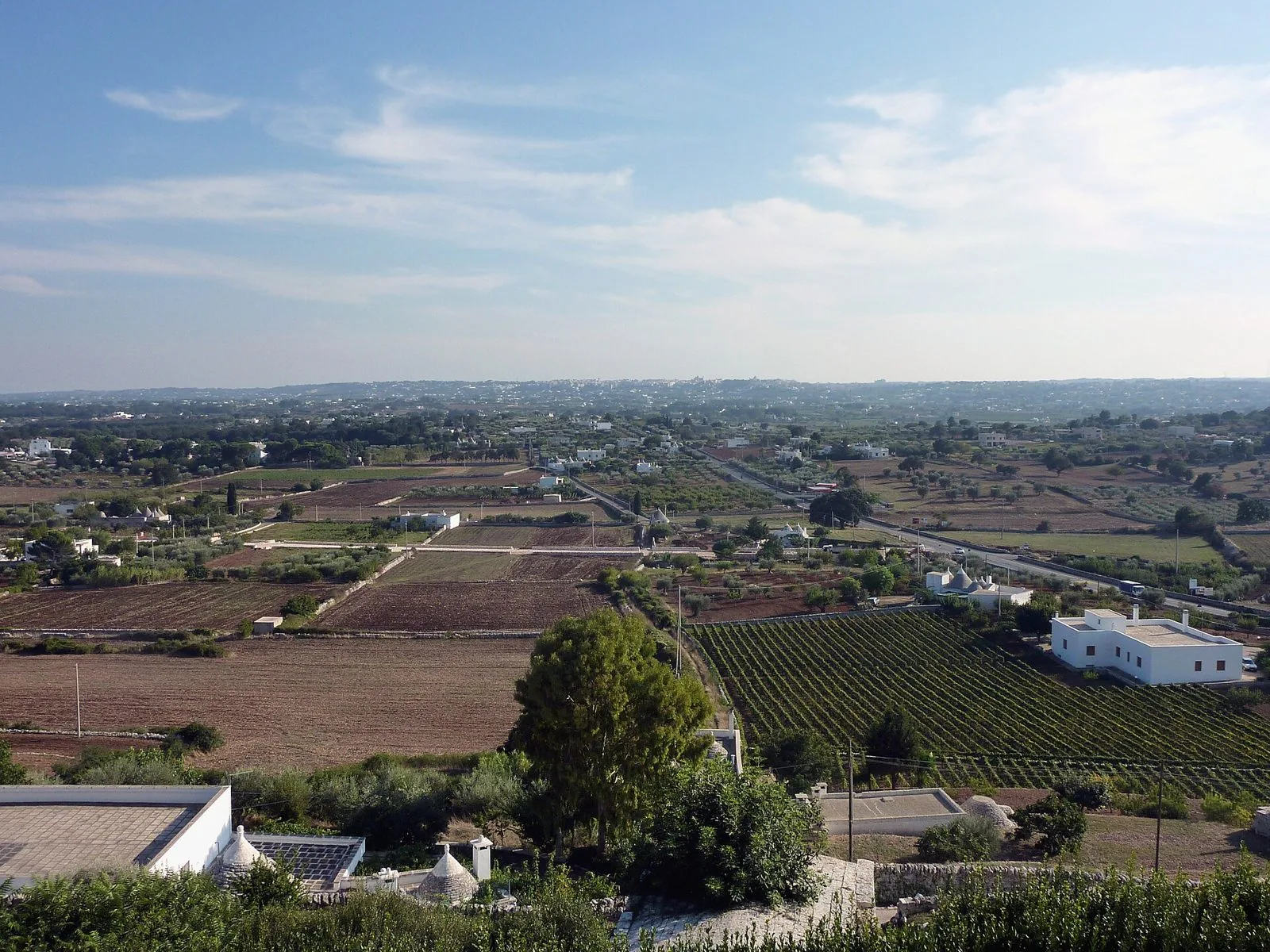 Vista dall'alto della campagna della Valle d'Itria con campi arati, vigneti, case bianche, alcuni trulli e una strada che attraversa la piana