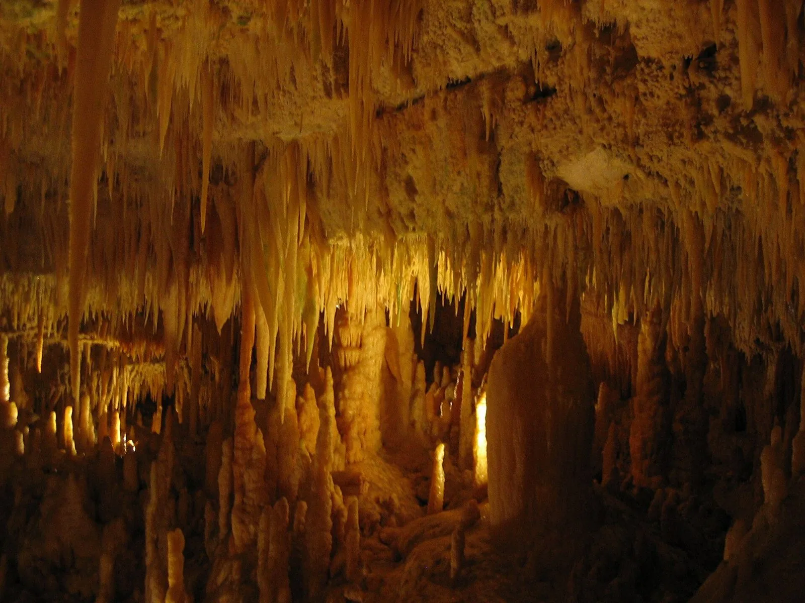 Fitte stalattiti e stalagmiti color ambra illuminate all'interno delle Grotte di Castellana