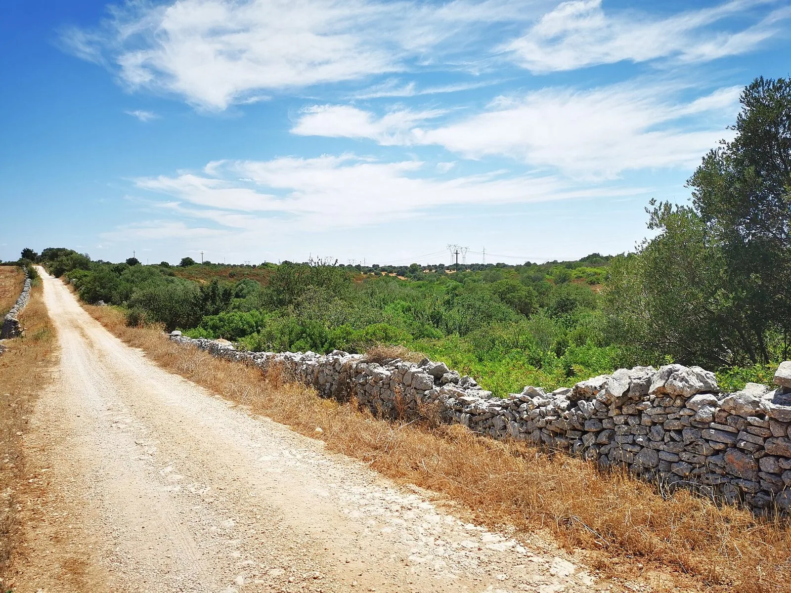 Strada sterrata bianca nella campagna pugliese costeggiata da un lungo muretto a secco in pietra calcarea, con macchia mediterranea e cielo azzurro
